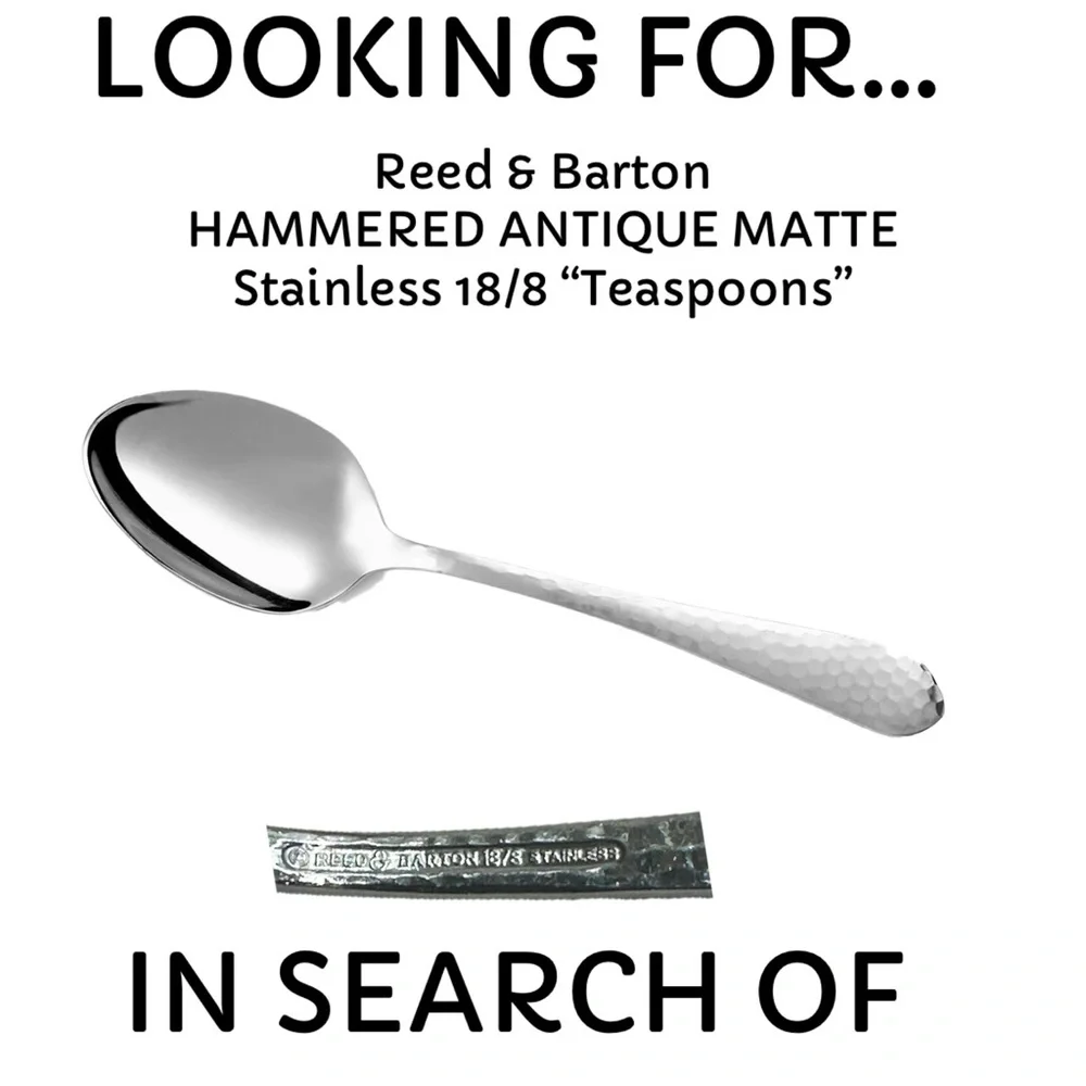 🚫 ISO 🚫 REED & BARTON HAMMERED ANTIQUE MATTE 18/8 STAINLESS TEASPOONS (Qty. 6+)